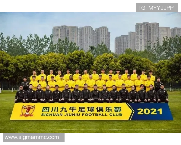 成都足球队运营模式解析与发展前景展望