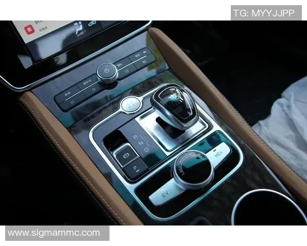 独家解析V5灵活性优势与其他车型的全面对比分析