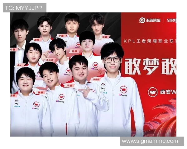 王者荣耀赛事分析：WE战队荣登经验排行榜第八位的背后故事